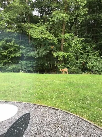 Feriehus Strandhuisje Aan De Middellandse Zee *